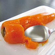 凍結含浸食セミナー
