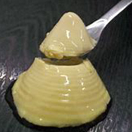凍結含浸食セミナー